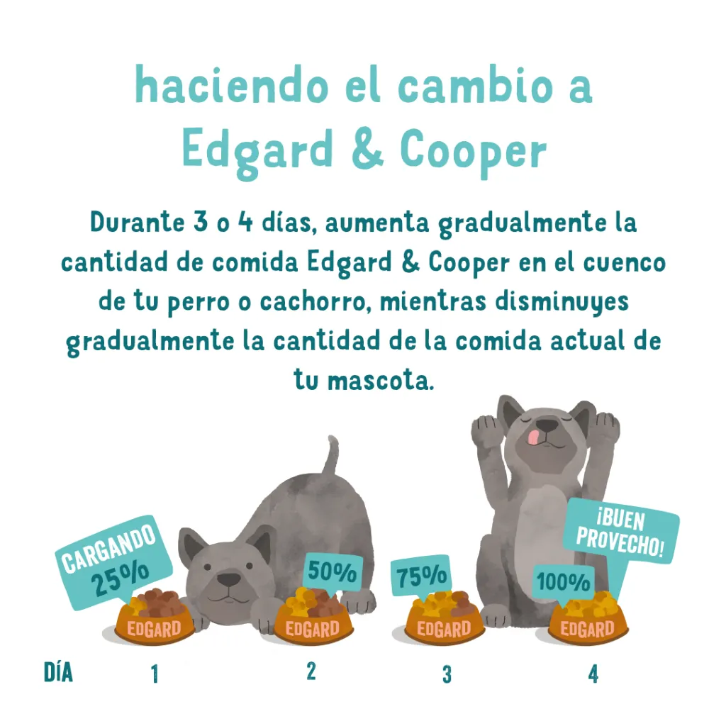 07_EdgardCooper_ECommContent__TransitionGuide_AdultBeefWet_400g.webp
