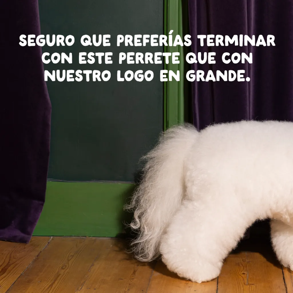 12_Dog-Refresh_DTC-Assets_ES_Adult-Chicken_CLOSE.webp