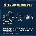 8445290457202_05 econtent.webp