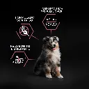 7613035114838_03 econtent.webp