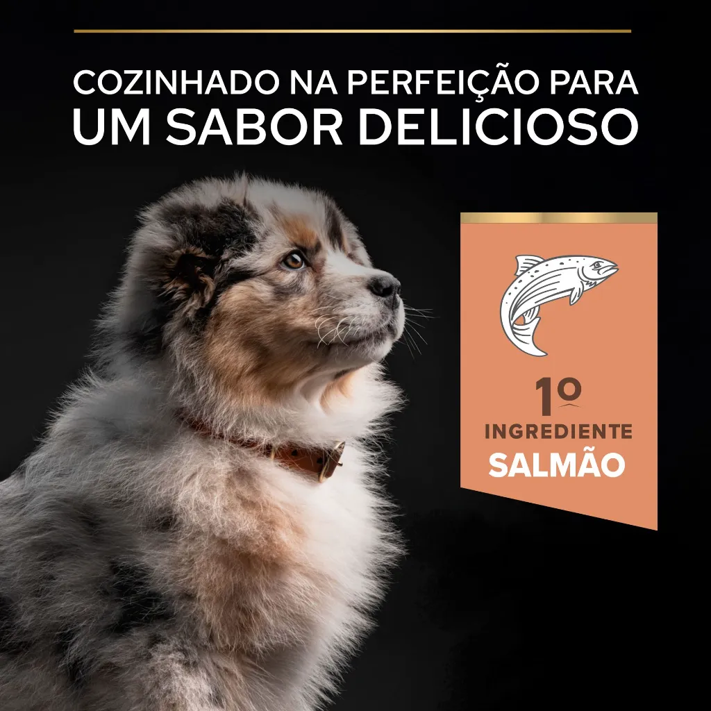 7613035114838_04 econtent.webp