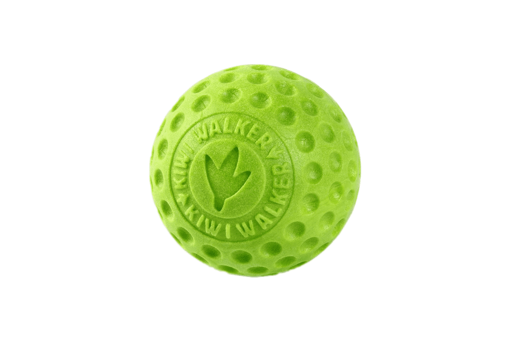 [TPR-223] Let's play! Ball Maxi Green