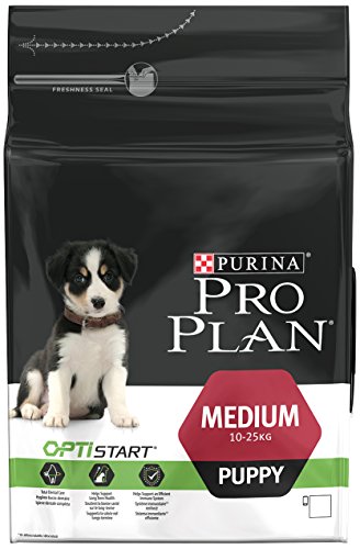 Pro Plan Medium Puppy Frango Ração Seca para Cão 3 kg