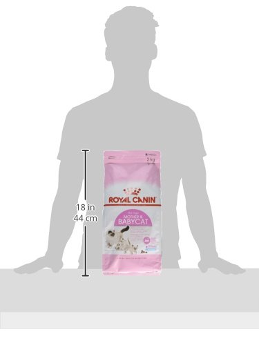 RC Mother & Babycat Seco Gato 2 kg