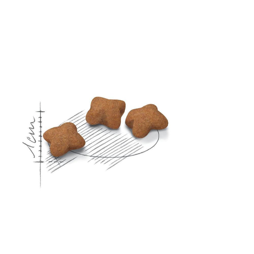 [2562403] RC Kitten Sterilised Seco Gato 3,5 kg