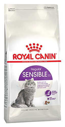 RC Sensible 33 Seco Gato 2 kg