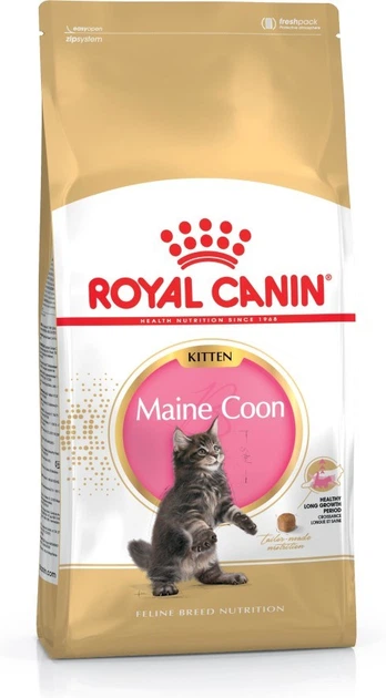 RC Kitten Maine Coon Seco Gato 4 kg
