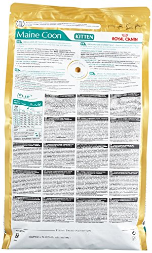 [2558401] RC Kitten Maine Coon Seco Gato 4 kg