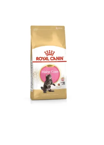 Royal Canin Kitten Maine Coon Seco Gato Ração Seca 4 kg