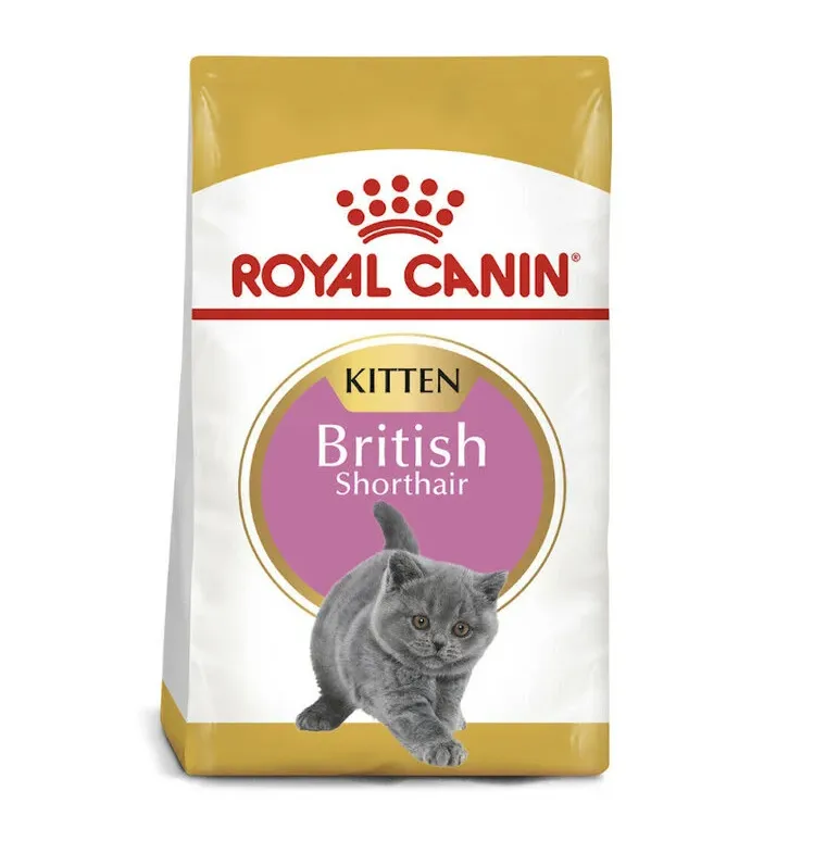 Royal Canin Kitten British Shorthair Seco Gato Ração Seca 2 kg