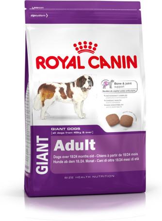 RC Giant Adult Seco Cão 15 kg