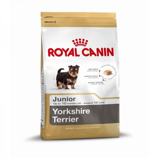 [3972000] RC Yorkshire Terrier Puppy Seco Cão 0,5 kg
