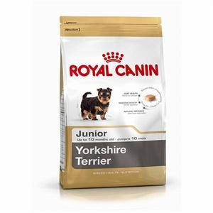 [3972200] RC Yorkshire Terrier Puppy Seco Cão 1,5 kg