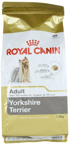 [3051201] RC Yorkshire Terrier Adult Seco Cão 1,5 kg