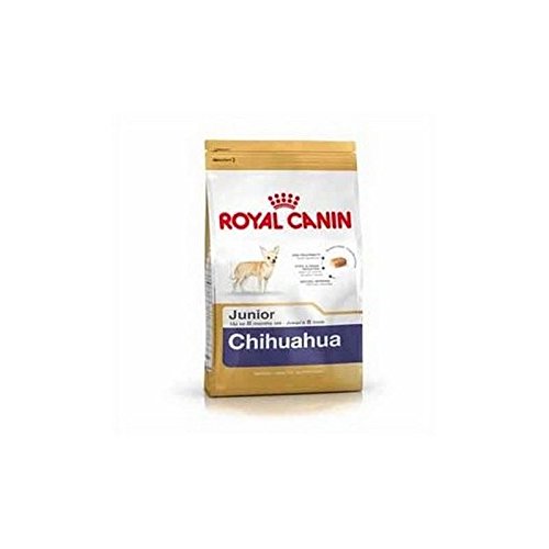 RC Chihuahua Puppy Seco Cão 1,5 kg