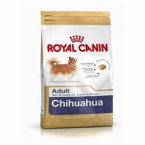 [2210400] RC Chihuahua Adult Seco Cão 3 kg