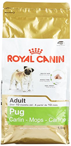 [3985200] RC Pug Adult Seco Cão 1,5 kg
