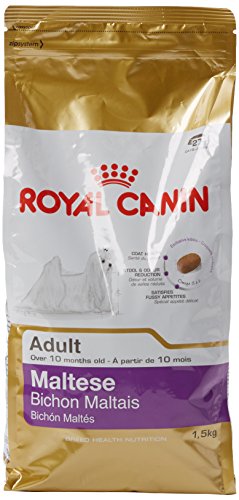 [3995200] RC Maltese Adult Seco Cão 1,5 kg