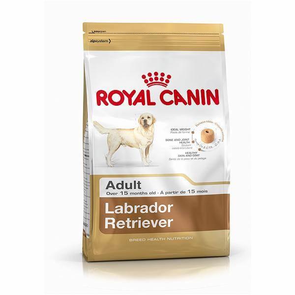 RC Labrador Retriever Adult Seco Cão 12 kg