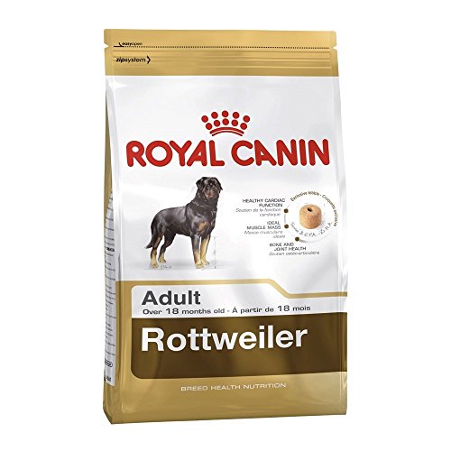 RC Rottweiler Adult Seco Cão 12 kg
