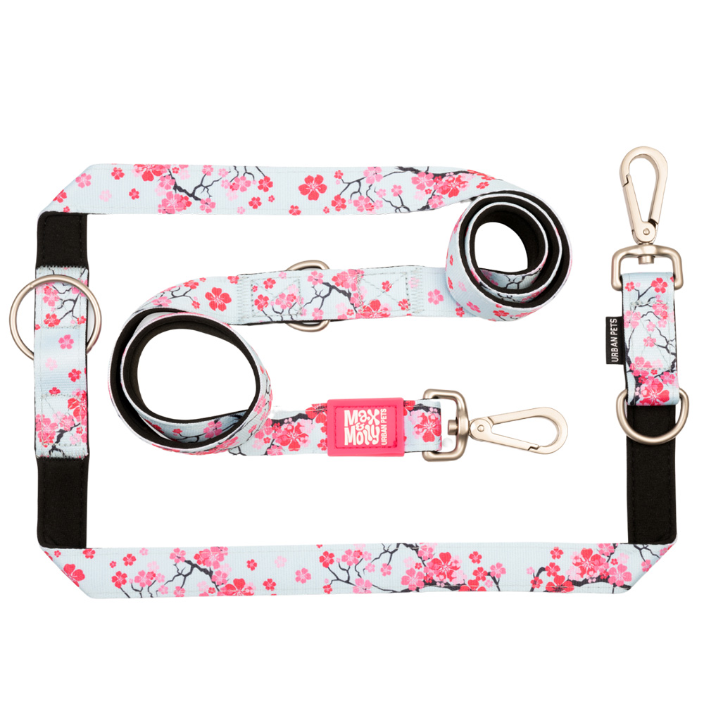 Max & Molly — Trela Multi "Cherry Bloom" (M) Acessório de Passeio para Cão