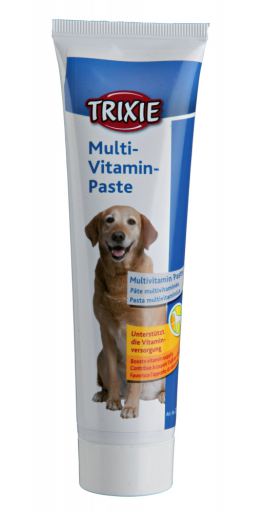 Pasta Multivitaminica para Cães Suplemento para Cão 100 g