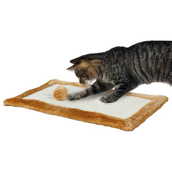 Tapete de Arranhar (Bege) Arranhador para Gato 55 × 35 cm