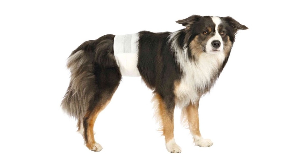 Fraldas Descartaveis para Cães — XS para Cão 12 un.