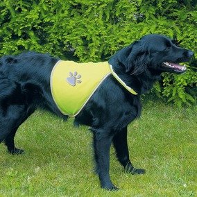 Colete Segurança Reflector para Cães XS Acessório de Passeio para Cão