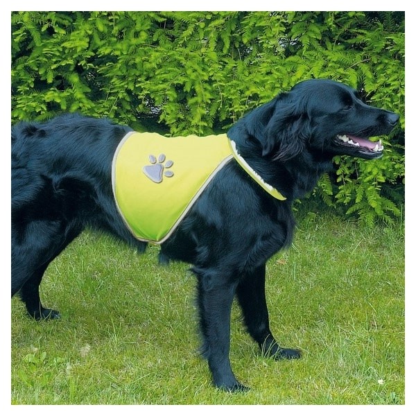 Colete Segurança Reflector para Cães M Acessório de Passeio para Cão