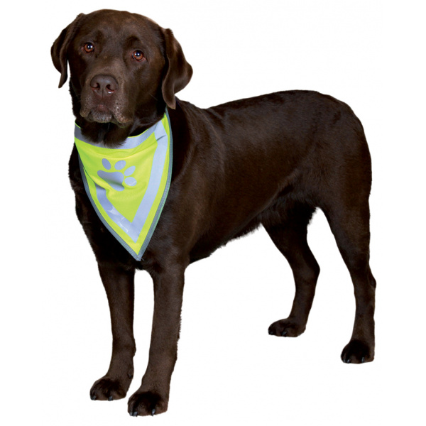 Lenço Reflector L–XL Vestuário para Cão