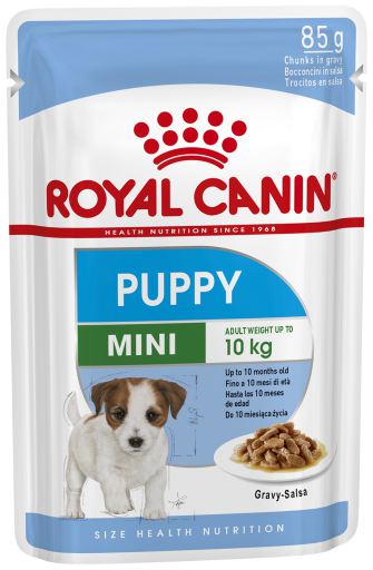 Royal Canin Mini Puppy Humido Cão Alimento Húmido 85 g