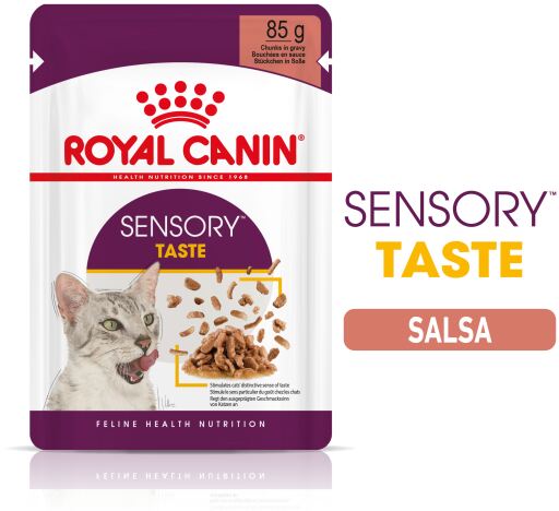 Royal Canin Sensory Taste (molho) Humido Gato Alimento Húmido 85 g