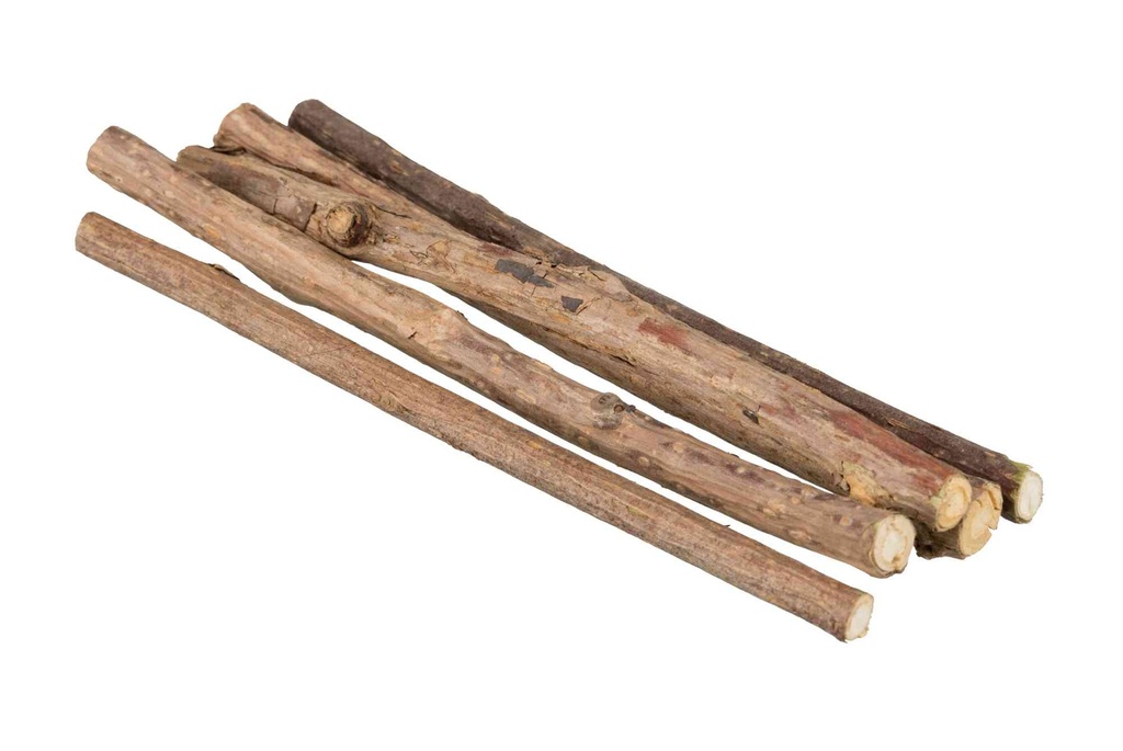 Sticks para Roer com Matatabi para Gato 10 g