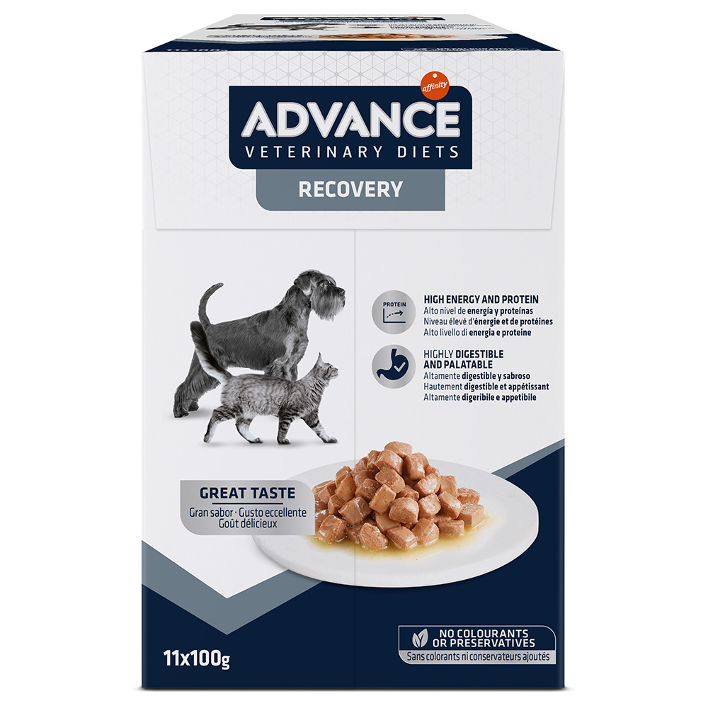 Advance Veterinary Diets Dog & Cat Wet Recovery Alimento Dietético Húmido para Cão e Gato 100 g