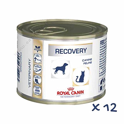 VHN DOG/CAT RECOVERY 12X195G