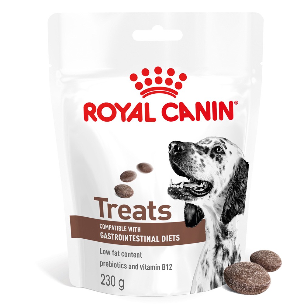 RC GASTRO INT DOG FUNCTIONAL 230G