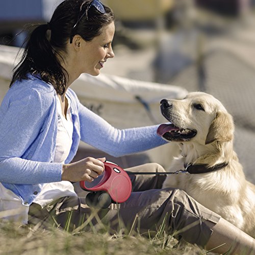 Flexi New Classic S Fita Rosa Acessório de Passeio para Cão 5 m