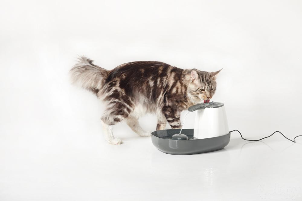 Sv Cascade White/Gray Comedouro ou Bebedouro para Gato