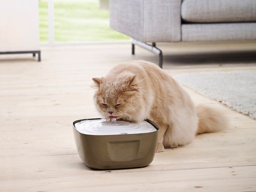 Fonte para Gato Volcano Branco/Cinzento Comedouro ou Bebedouro