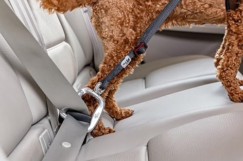 Curli Cinto de Seguranca S (Su3380) Acessório de Passeio para Cão