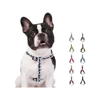 Peitoral Snoopy (Branco/C. B.) -m Acessório de Passeio para Cão