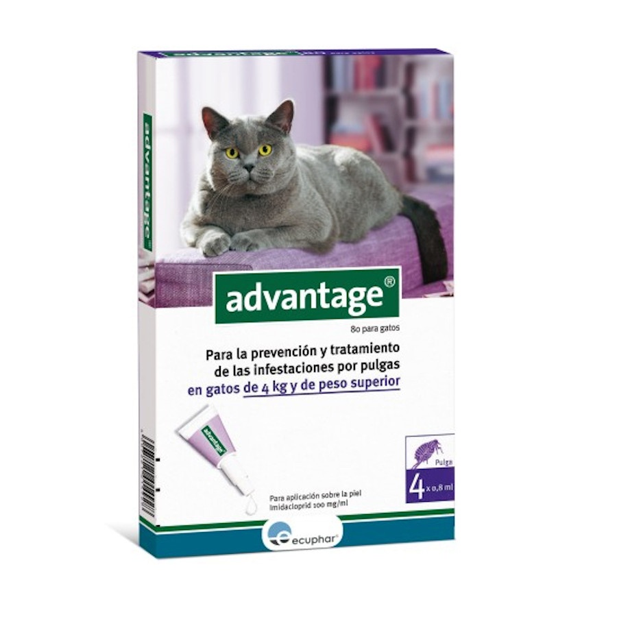 ADVANTAGE 80 GATO > 4 KG (FARMA)