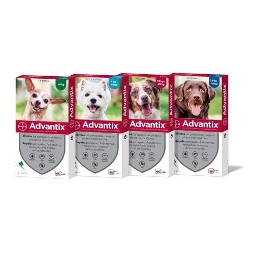 Advantix « 4 »» 40 Cão Antiparasitário
