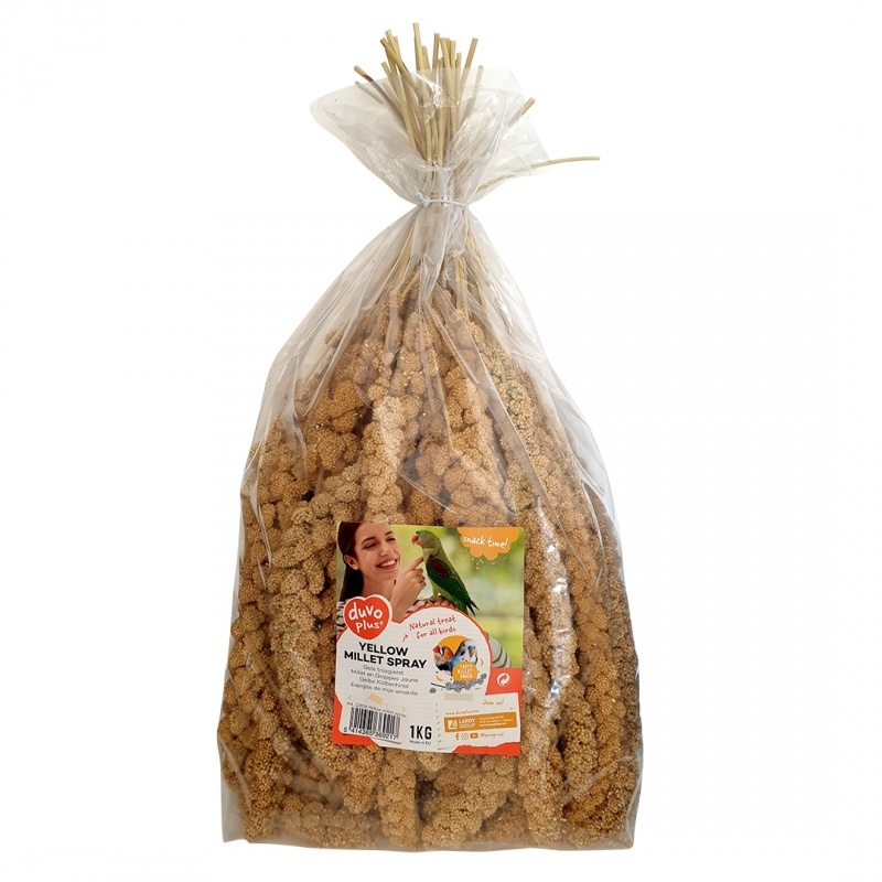 Millet Spray amarelo para aves — Espigas de Painço Snack
