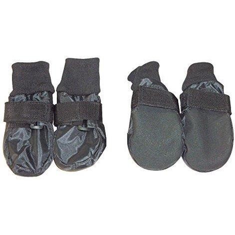 Sapatos Cão S Vestuário