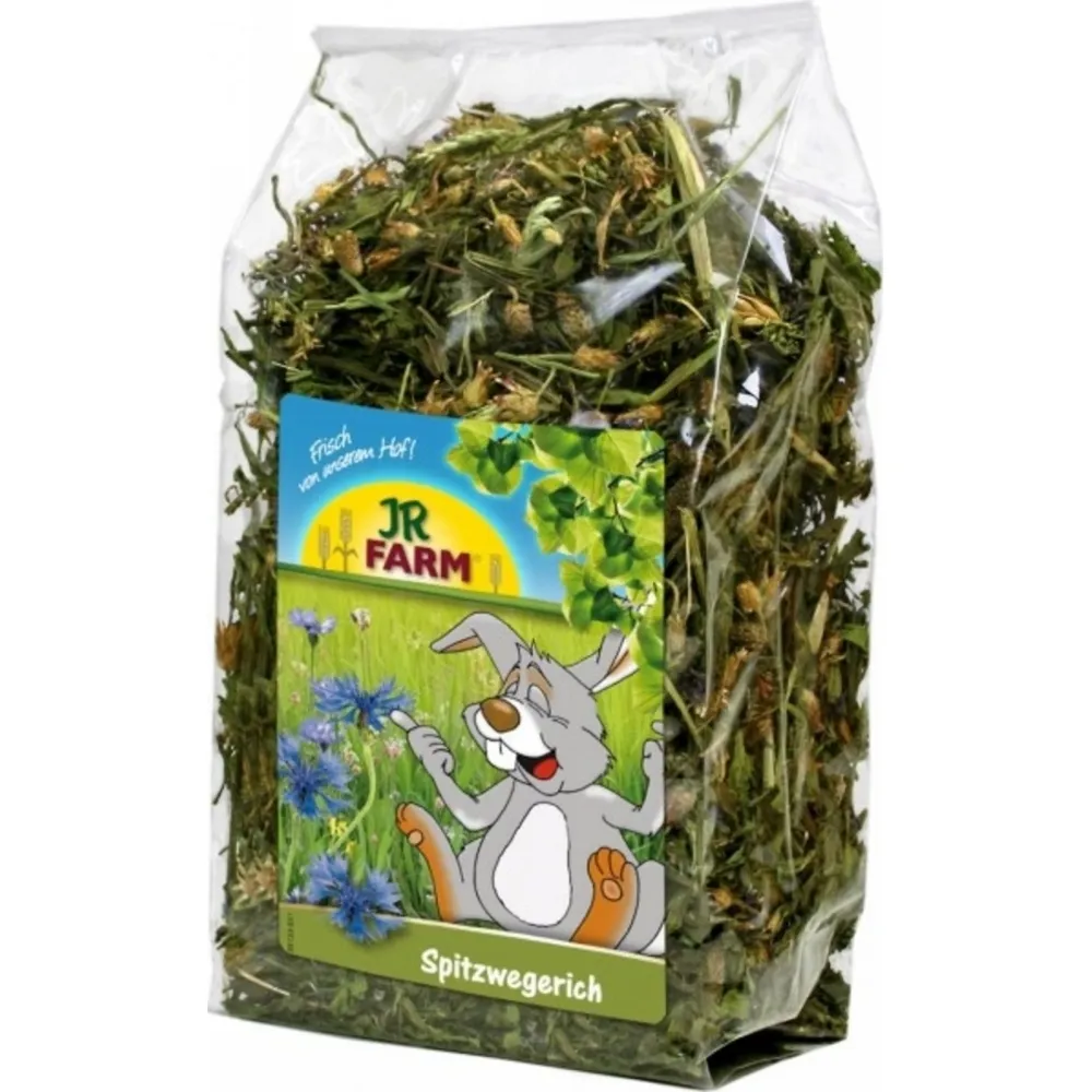 JR Farm Tanchagem para Roedores e Coelhos Anões 100 g