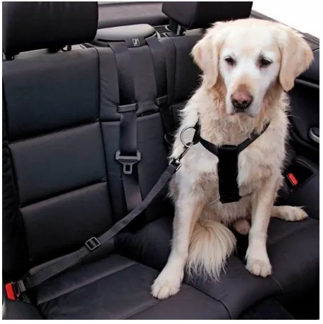Cinto de Segurança para Cão - Tamanho : M