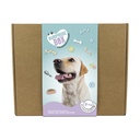 SURPRISE BOX PORTE MED./GRD.