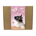 SURPRISE BOX GATOS